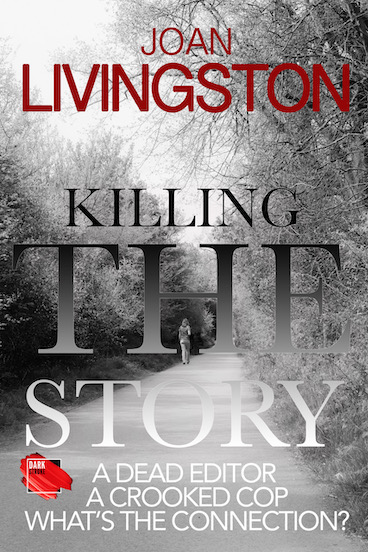 Killing the Story Cover4 smaller