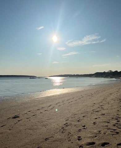 WIP: The Talking Table