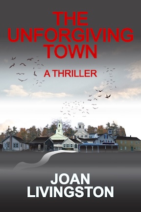 New Book: The Unforgiving Town