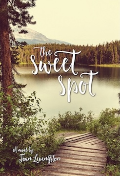 Visualizing The Sweet Spot: Next Screenplay Project